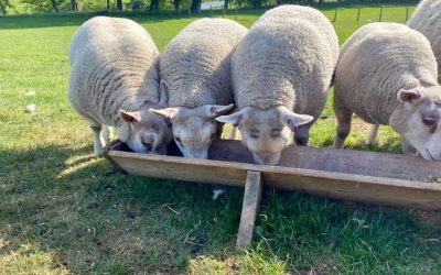 Planning Ahead for Power and Success