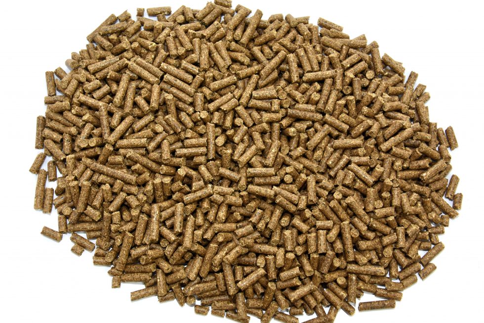Top Gain Energy | Davidsons Feeds
