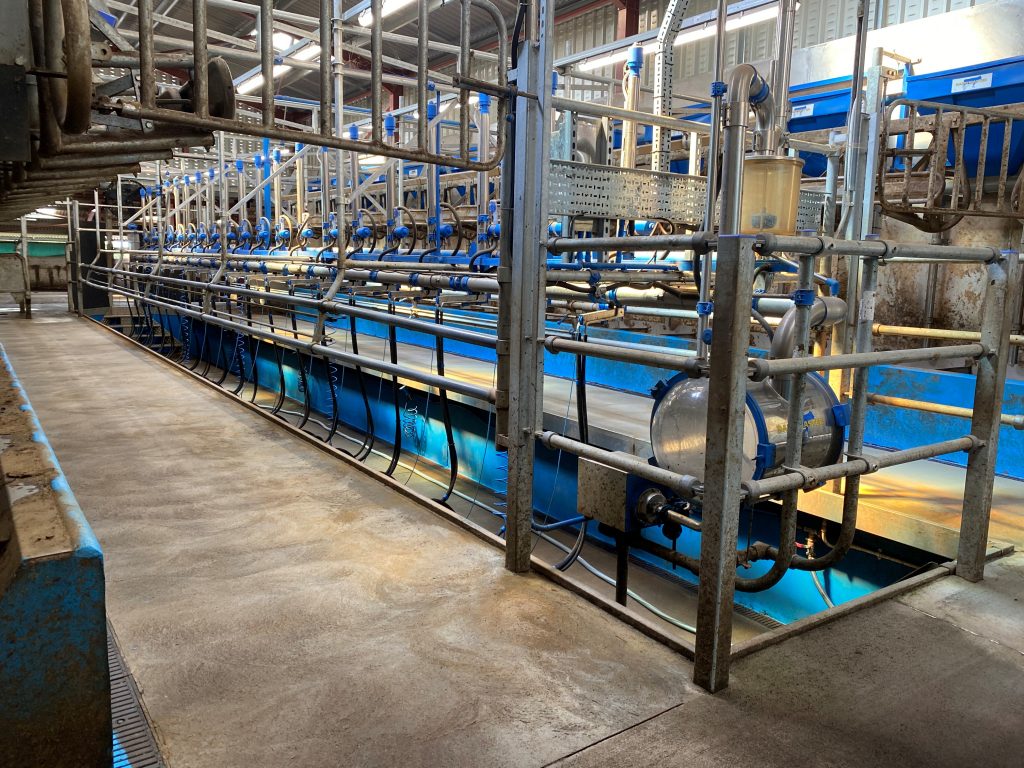Dairy Master rapid exit parlour