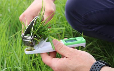 Planning is key to a successful silage season