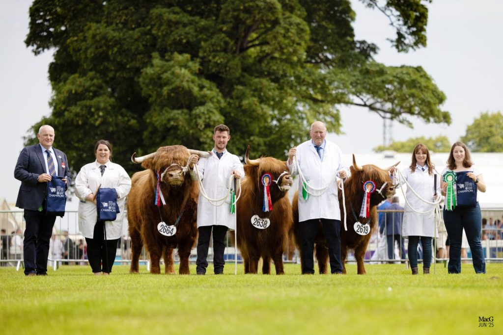 Native Interbreed Champion group of 4