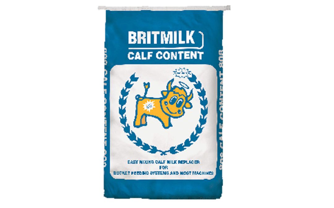 Calf Content